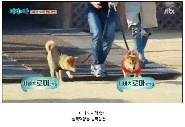 의도적인 작명.jpg | 인스티즈