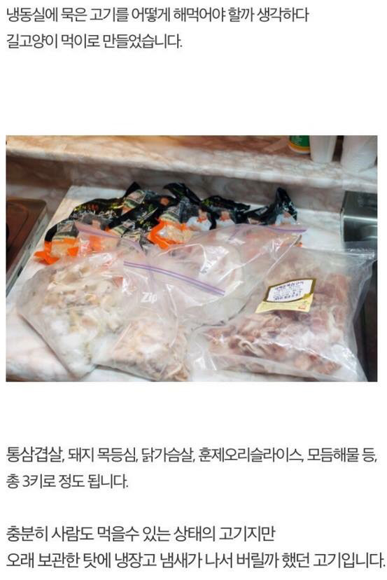 길고양이에게 정성스러운 먹이를 준비해보았다 | 인스티즈