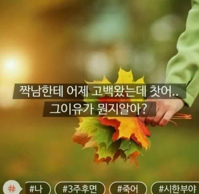 #이렇게 #하면 #되는건가? | 인스티즈