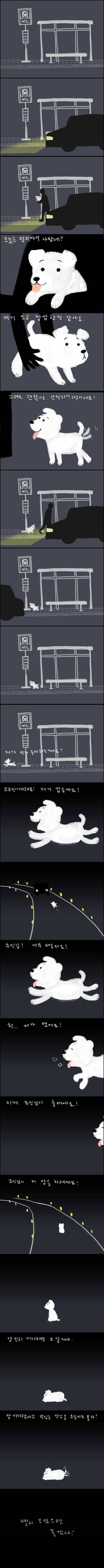 강아지가 버려질때의 심리.jpg (+ 실제 버려지는 강아지 영상) | 인스티즈