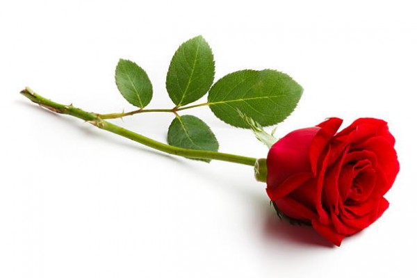 유럽에서 여행객 상대로 등는 수법들....txt | 인스티즈