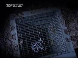 그것이 알고싶다를 챙겨 보면서 느낀 경찰이 범인을 못 잡는 몇가지 이유 | 인스티즈