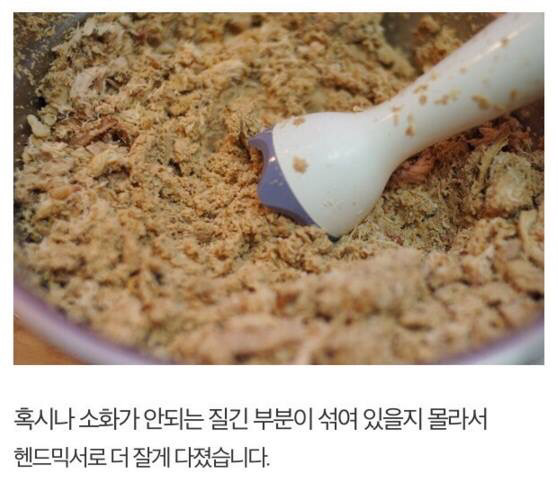 길고양이에게 정성스러운 먹이를 준비해보았다 | 인스티즈