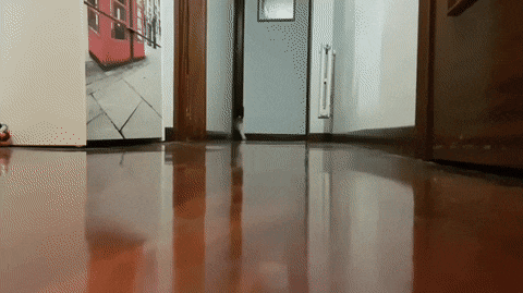 설날 아침엔 역시 | 인스티즈