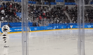 끼부리는 수호랑 .gif | 인스티즈