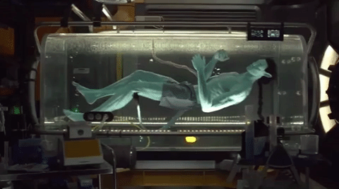 미국 디즈니 월드에 개장한 아바타 테마파크(초고퀄 주의) | 인스티즈