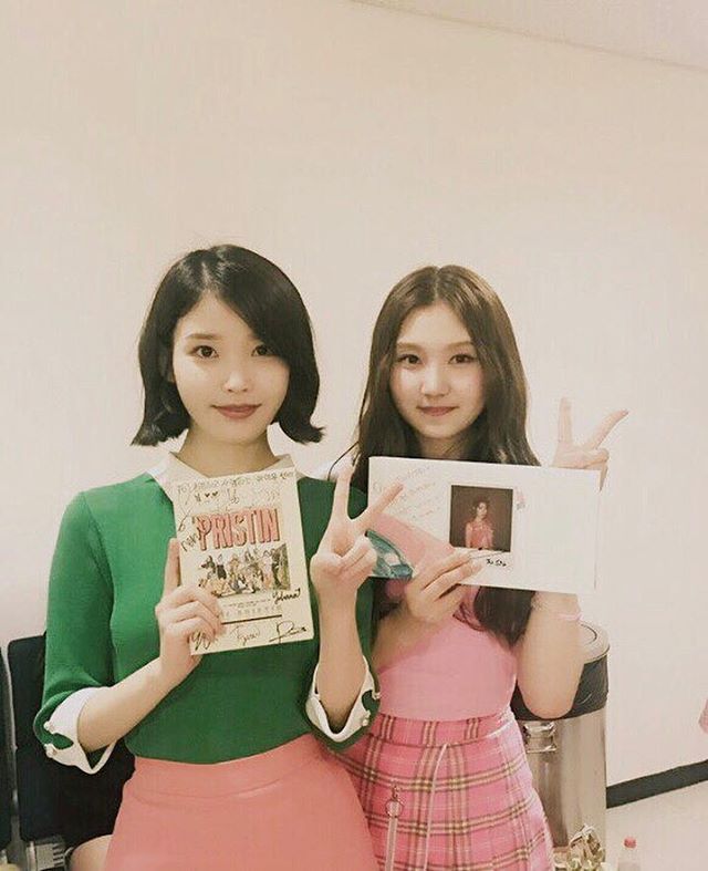 성공한 아이유 덕후 프리스틴 성연 | 인스티즈