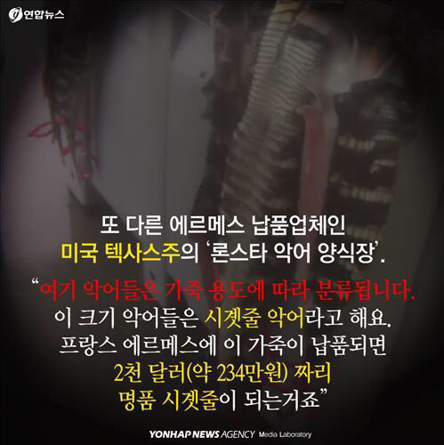 제인 버킨이 버킨백에서 자기 이름 빼달라고 한 이유.jpg | 인스티즈