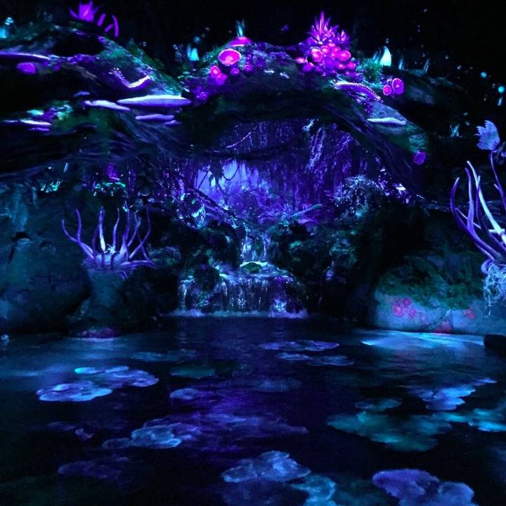 미국 디즈니 월드에 개장한 아바타 테마파크(초고퀄 주의) | 인스티즈