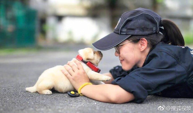 대륙의 신입 경찰견들 | 인스티즈