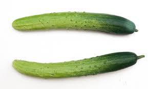 오이 싫어 or 당근 싫어 | 인스티즈