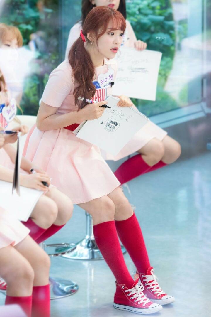 에이프릴 레이첼 | 인스티즈