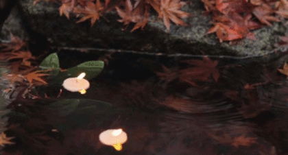 이 가을에 아직도 너를 사랑해서 슬프다 | 인스티즈