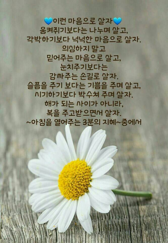 [이미지] 부모님께 보내드리면 사랑받는 이미지 모음 | 인스티즈