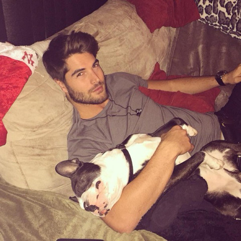 행복해보이는 강아지들 | 인스티즈