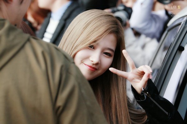 [트와이스] 샤샤샤 사나 | 인스티즈