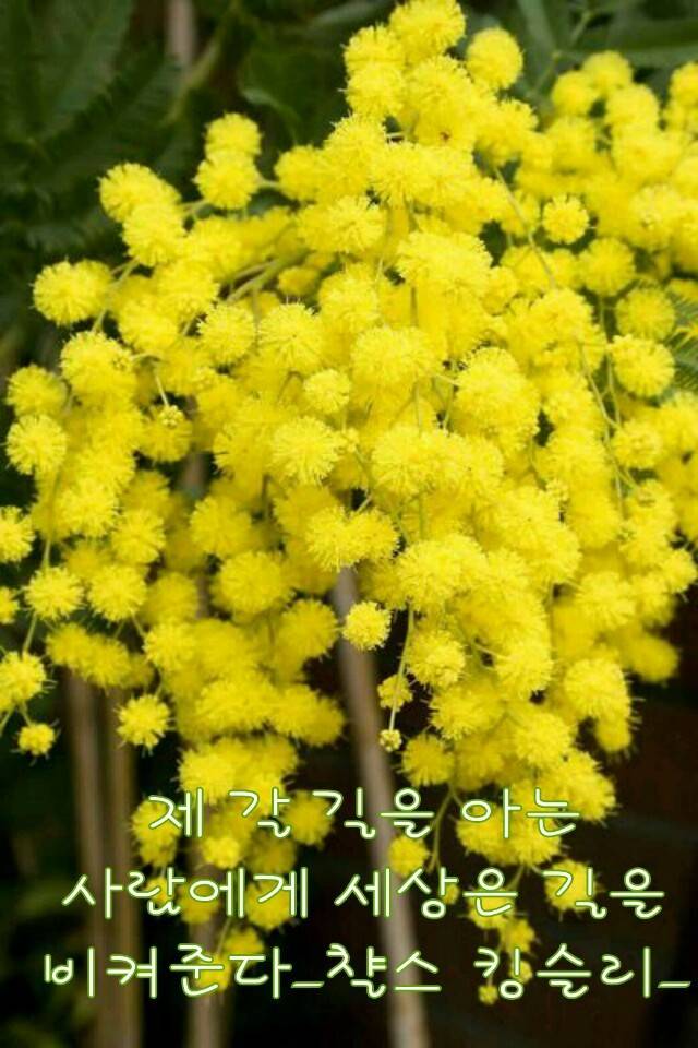 [이미지] 부모님께 보내드리면 사랑받는 이미지 모음 | 인스티즈