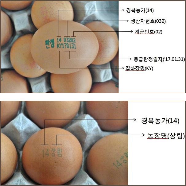 계란 식별번호 보는 방법 | 인스티즈