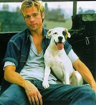 행복해보이는 강아지들 | 인스티즈