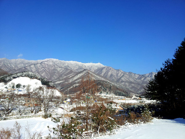 역대 우리나라에서 일 최저기온이 가장 낮았던 지역 Top10 | 인스티즈
