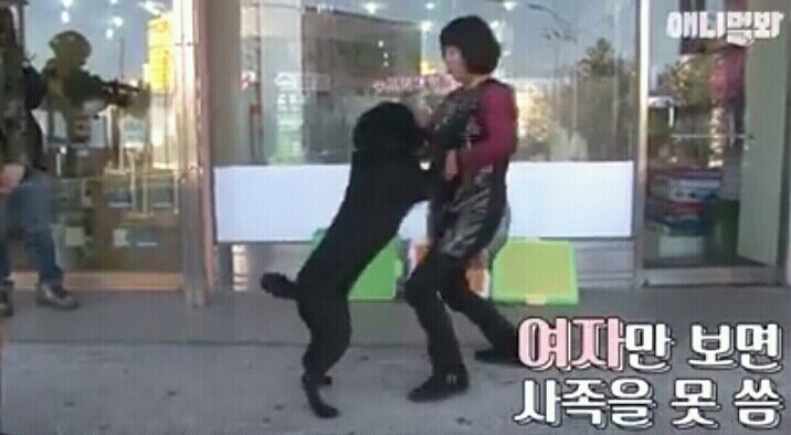 여자보면 쓰러지는 개 이야기 | 인스티즈