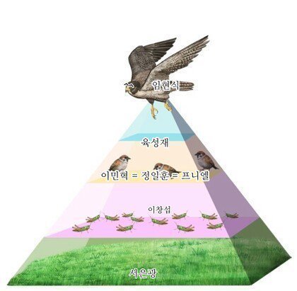 레드카펫이 그들만의 리그가 돼버린 아이돌 | 인스티즈