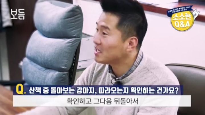 산책 중에 강아지가 뒤돌아보는 이유 | 인스티즈