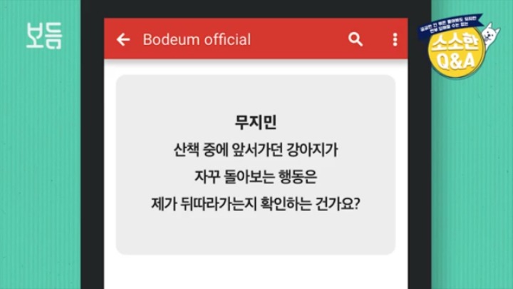 산책 중에 강아지가 뒤돌아보는 이유 | 인스티즈