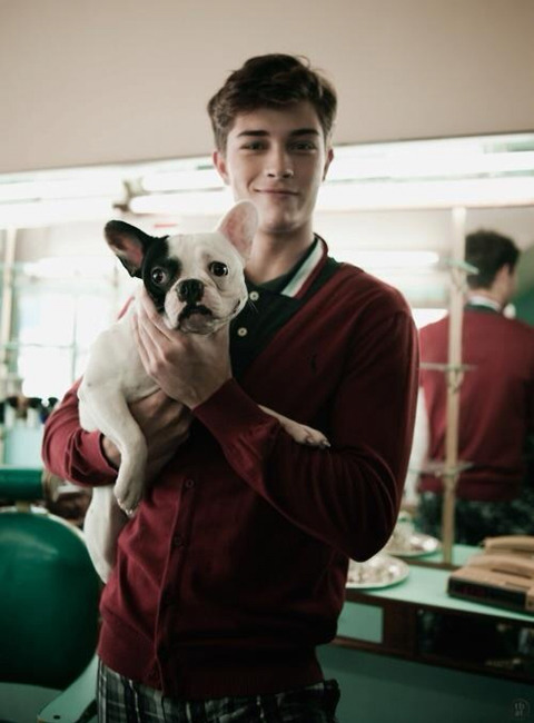 행복해보이는 강아지들 | 인스티즈