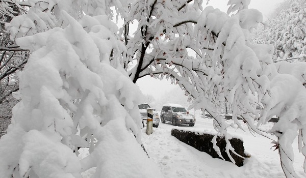 역대 우리나라에서 일 최저기온이 가장 낮았던 지역 Top10 | 인스티즈