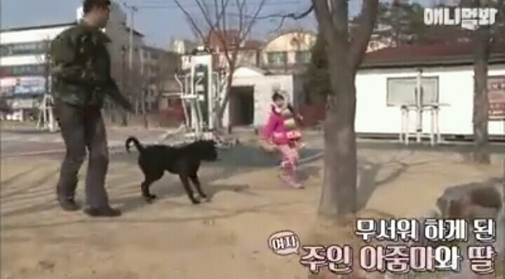 여자보면 쓰러지는 개 이야기 | 인스티즈