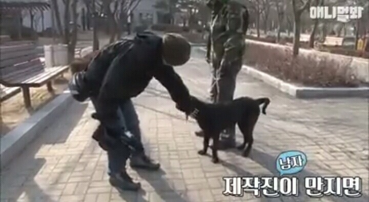 여자보면 쓰러지는 개 이야기 | 인스티즈