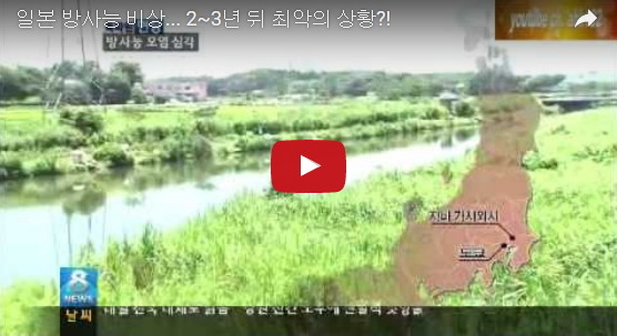 방사능은 후쿠시마에서 터졌는데 다른 일본 도시는 안전한거 아니야? | 인스티즈