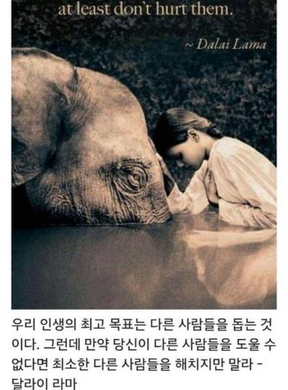 자존감을 높여주는 부처의 명언들.jpg | 인스티즈