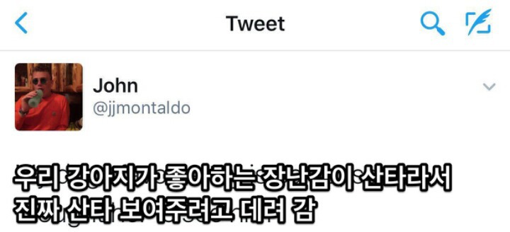 댕댕이가 좋아하는 인형이 산타라서 진짜 산타를 보여주려고 데려감 | 인스티즈