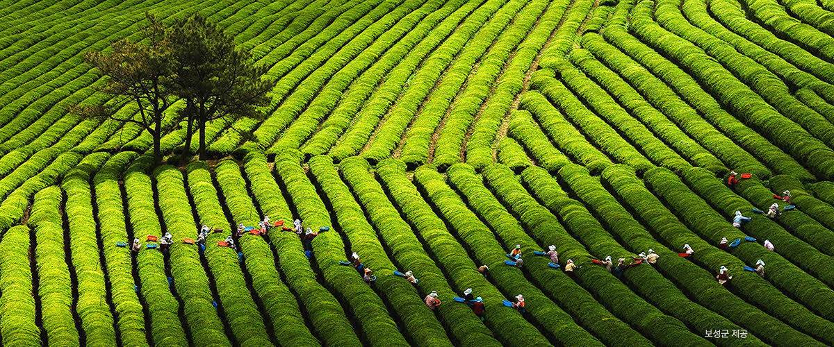 한국인이 꼭 가봐야 할 한국관광 100선 | 인스티즈