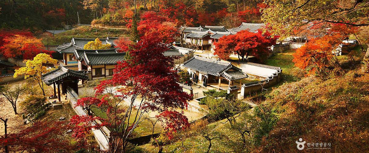 한국인이 꼭 가봐야 할 한국관광 100선 | 인스티즈