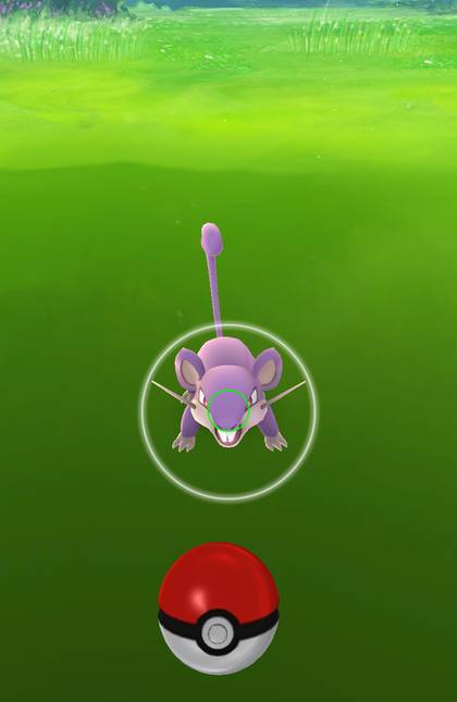 포켓몬고 Tip!! (시작하시기 전에 보면 더욱 좋습니다 | 인스티즈