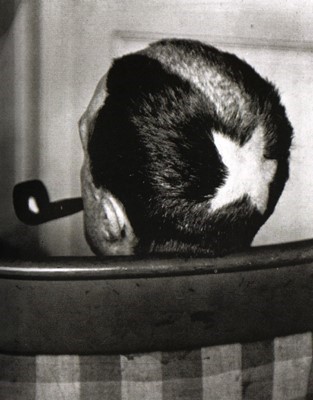 식상한 게 세상에서 제일 싫어!(feat.뒤샹) | 인스티즈