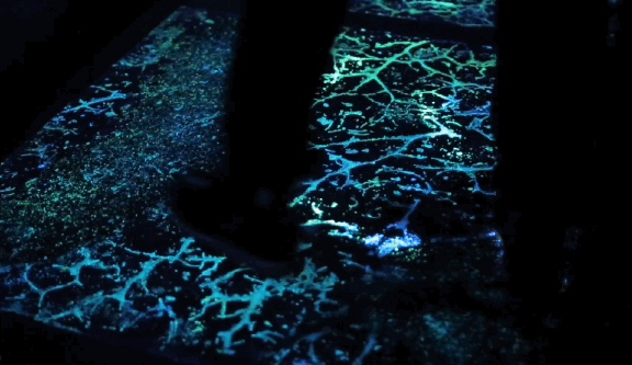 미국 디즈니 월드에 개장한 아바타 테마파크(초고퀄 주의) | 인스티즈