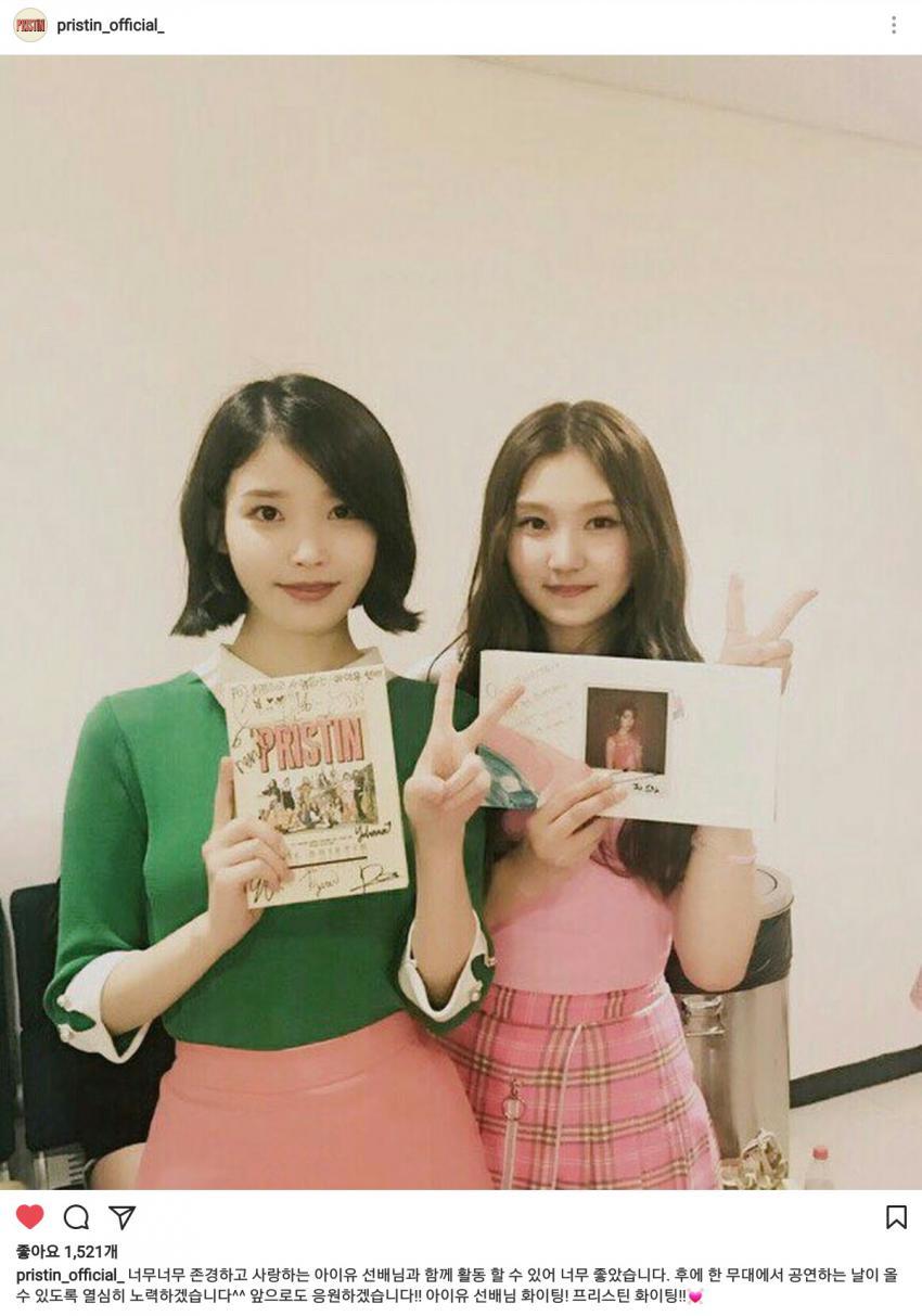 성공한 아이유 덕후 프리스틴 성연 | 인스티즈
