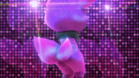 서양에서 인기 많은 한반도의 여우 캐릭터 | 인스티즈