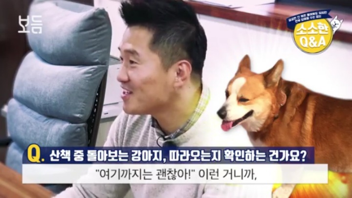 산책 중에 강아지가 뒤돌아보는 이유 | 인스티즈