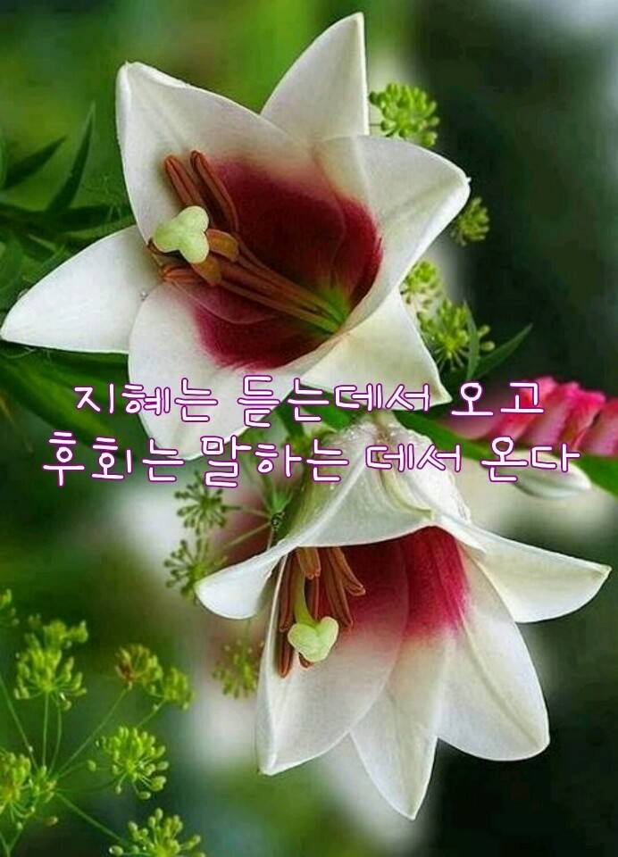 [이미지] 부모님께 보내드리면 사랑받는 이미지 모음 | 인스티즈