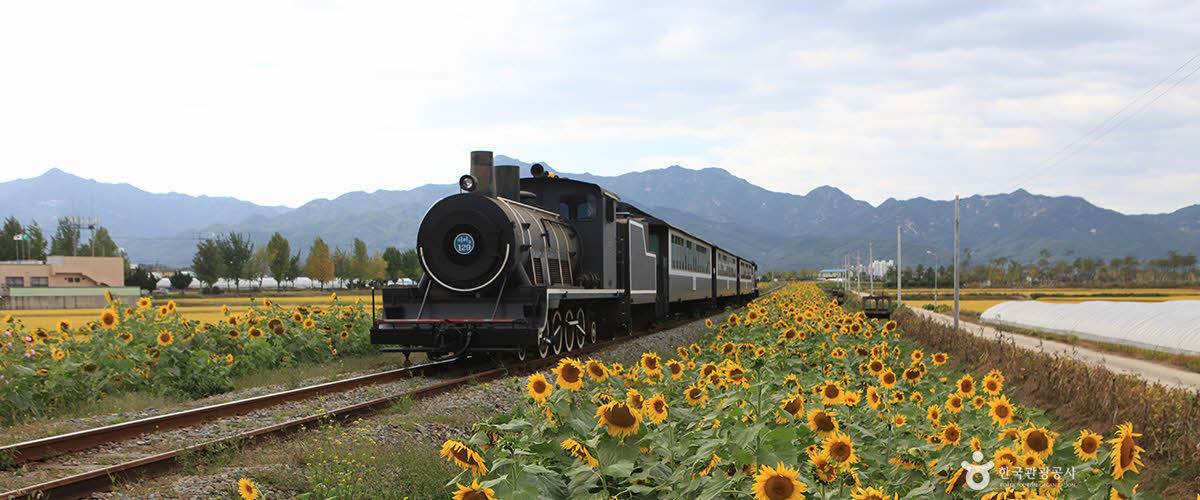 한국인이 꼭 가봐야 할 한국관광 100선 | 인스티즈