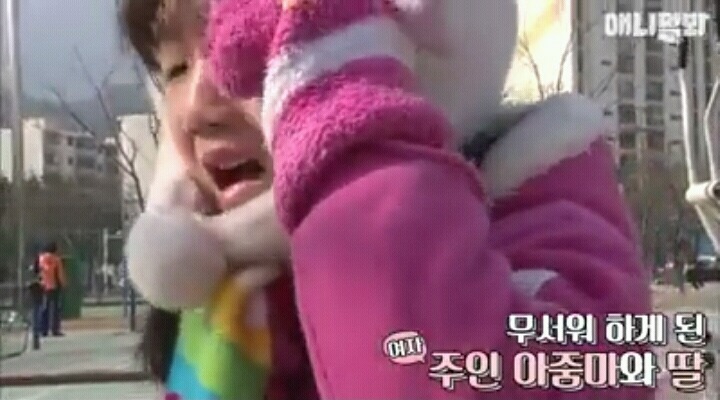 여자보면 쓰러지는 개 이야기 | 인스티즈