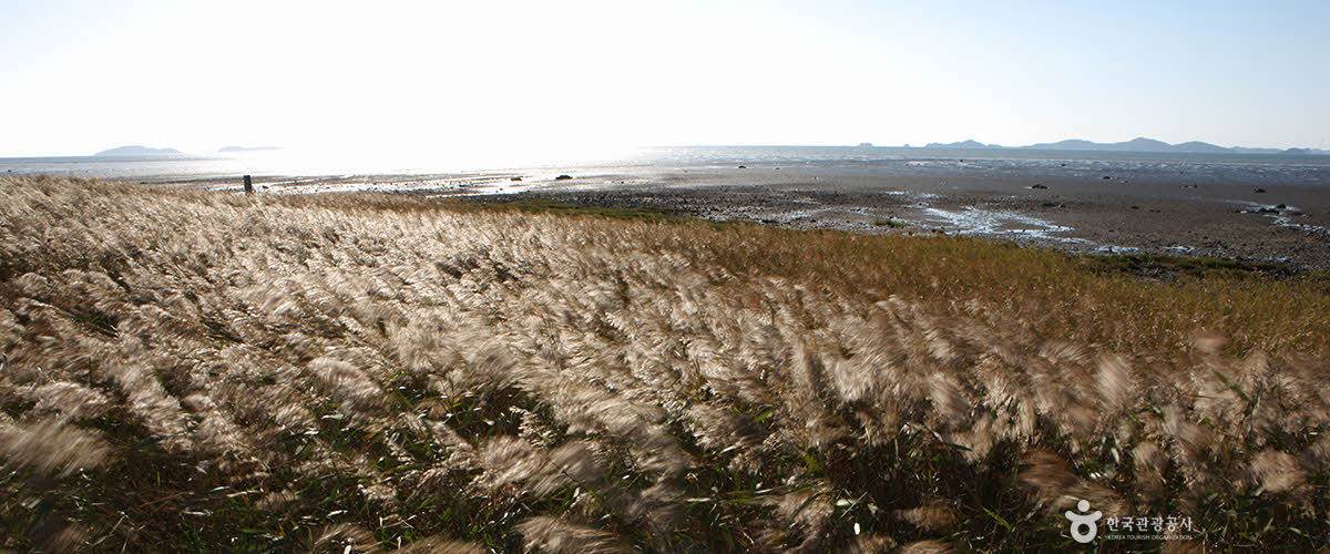 한국인이 꼭 가봐야 할 한국관광 100선 | 인스티즈