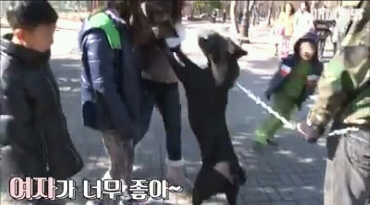 여자보면 쓰러지는 개 이야기 | 인스티즈