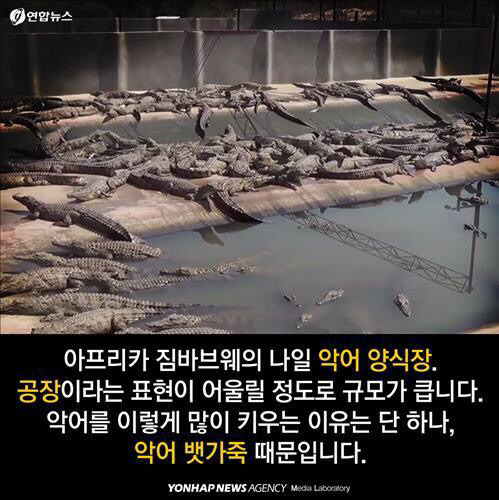 제인 버킨이 버킨백에서 자기 이름 빼달라고 한 이유.jpg | 인스티즈