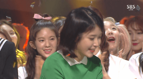 성공한 아이유 덕후 프리스틴 성연 | 인스티즈